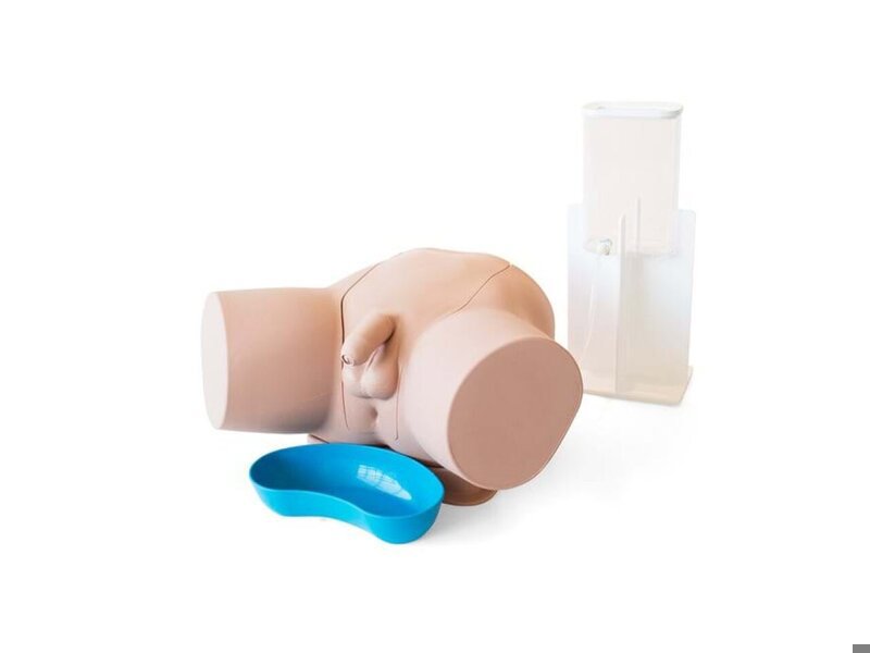 Male Catheterization Trainer