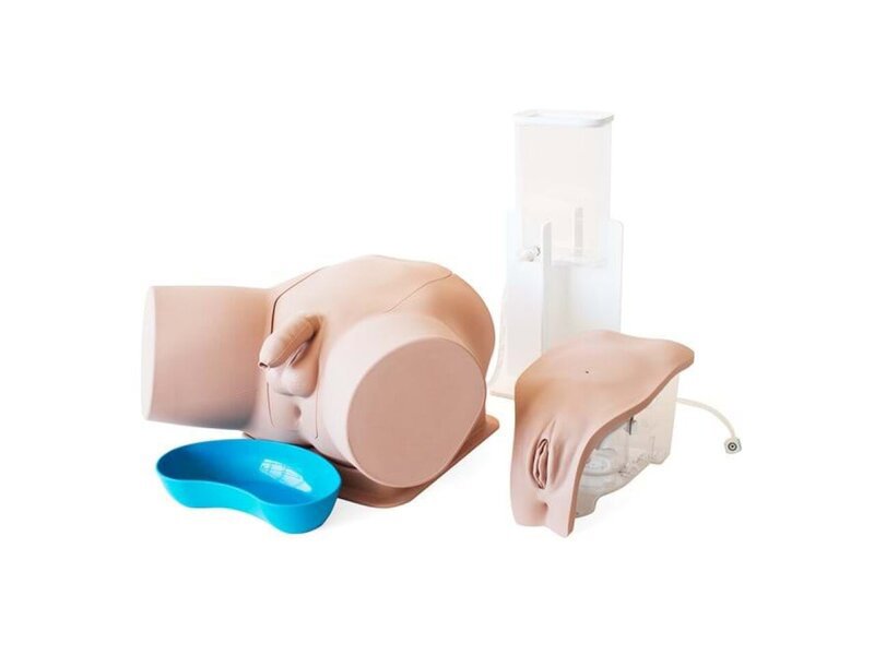 Standard Catheterization Trainer Set