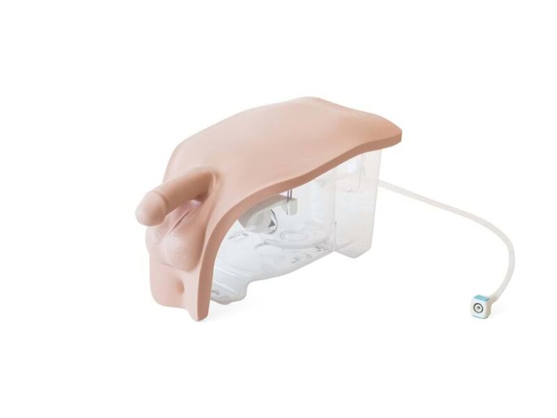 Male Module Catheterization
