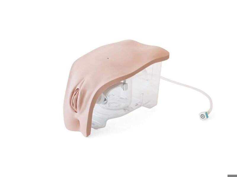 Female Module Catheterization