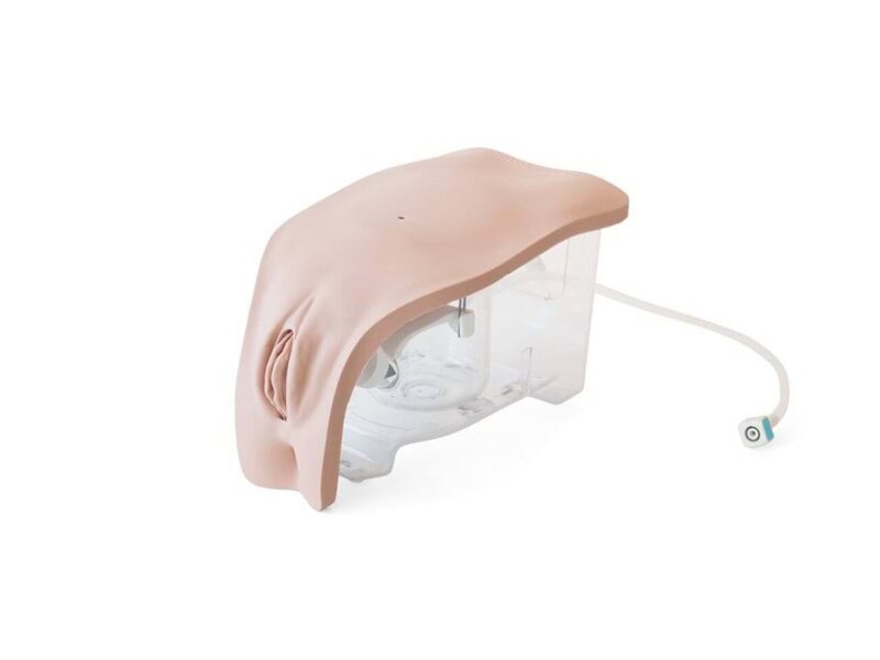 Female Module Catheterization