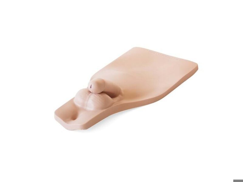 Male Perineum Catheterization