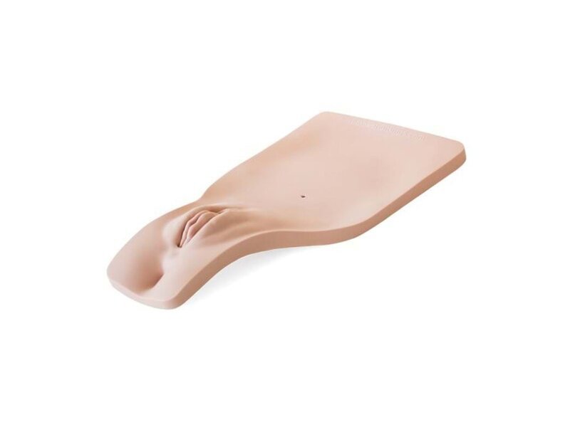 Female Perineum Catheterization