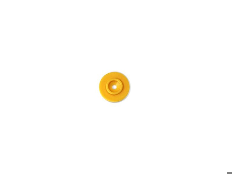 Bladder Diaphragm