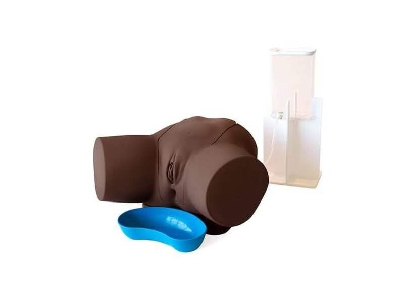 Female Catherterization Trainer - Dark
