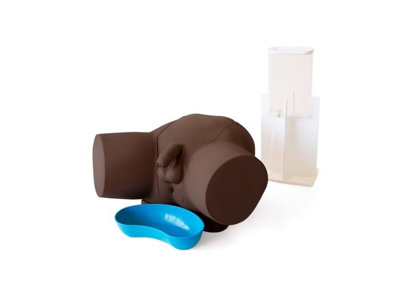 Male Catheterization Trainer - Dark