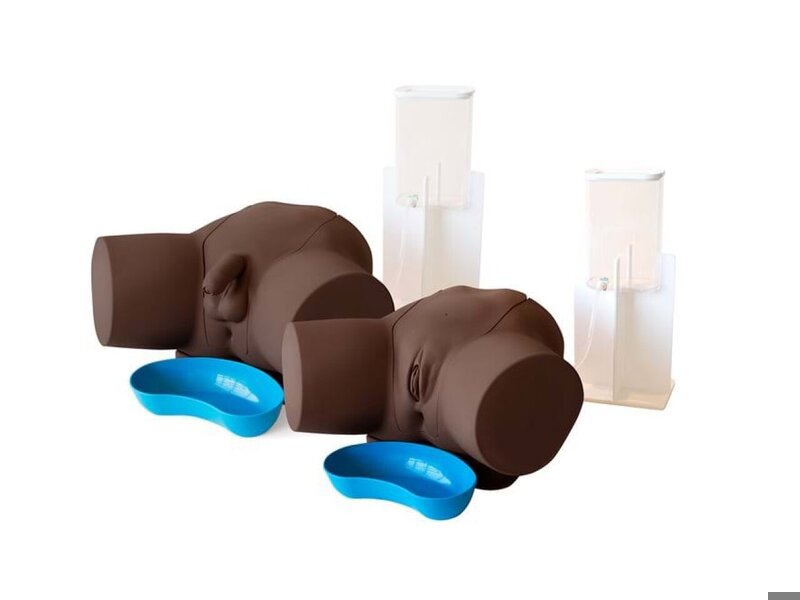 Advanced Catheterization Trainer Set - Dark