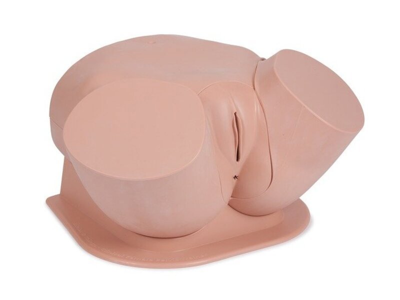 Clinical Female Pelvic Trainer (CFPT) Mk 3-Std