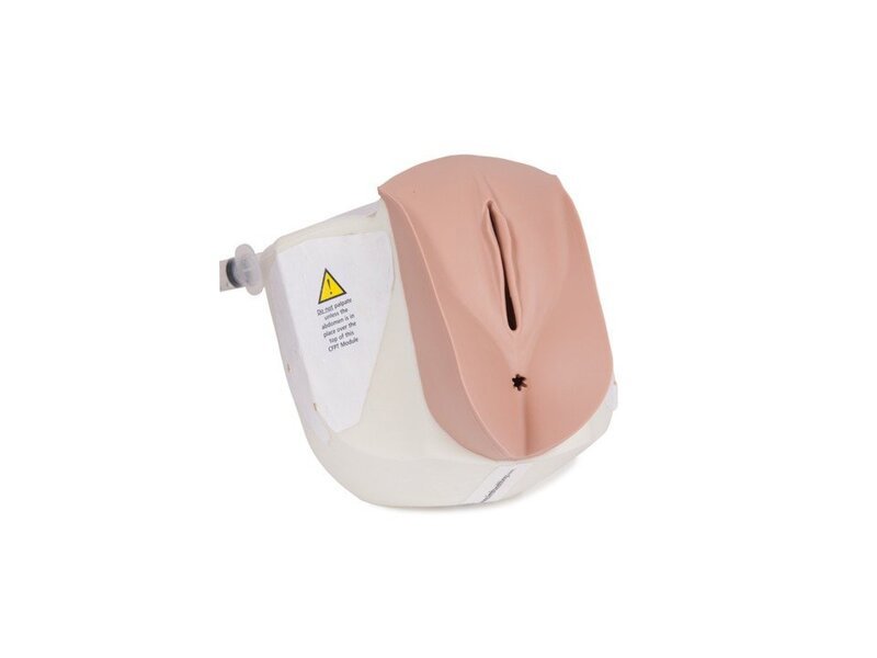 CFPT Mk3 Module 1:Normal Nulliparous Cervix