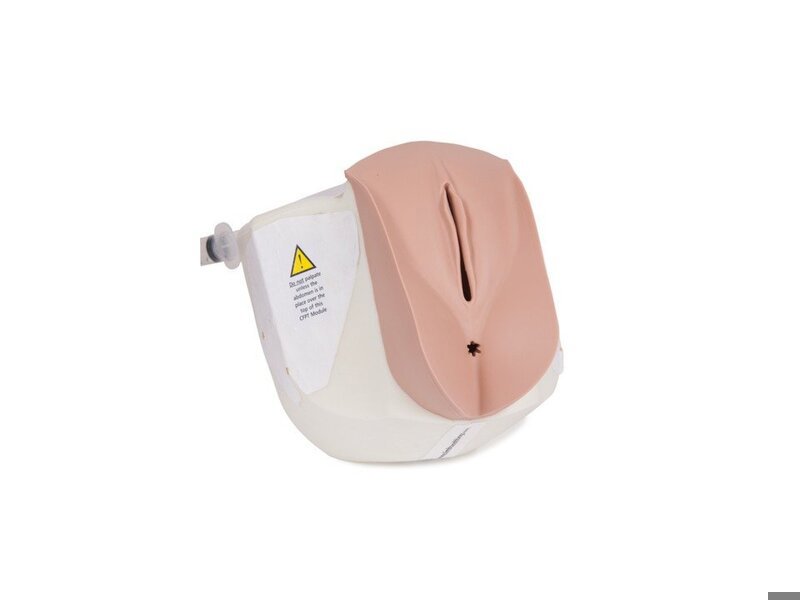 CFPT Mk3 Module 1:Normal Nulliparous Cervix