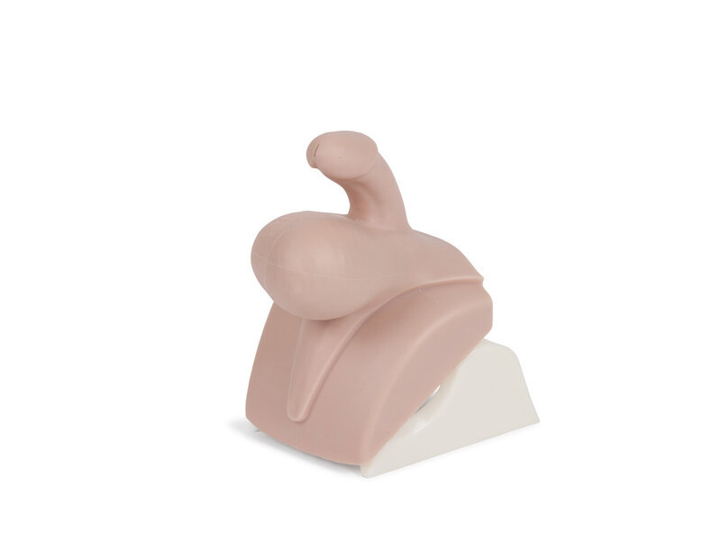 CMPT Mk 2 Hydrocele Module 5