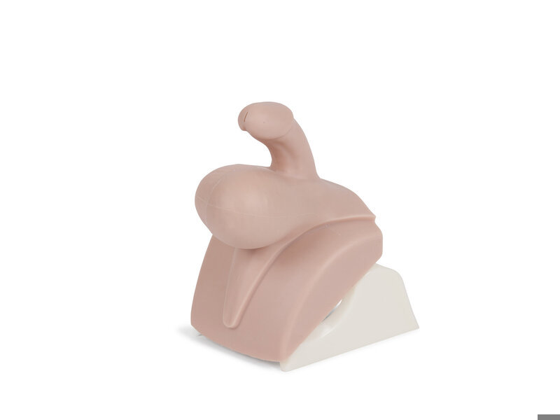 CMPT Mk 2 Hydrocele Module 5