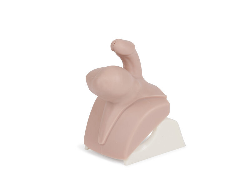 Mod 6-Orchitis/Epididymo Orchitis for CMPT Mk2