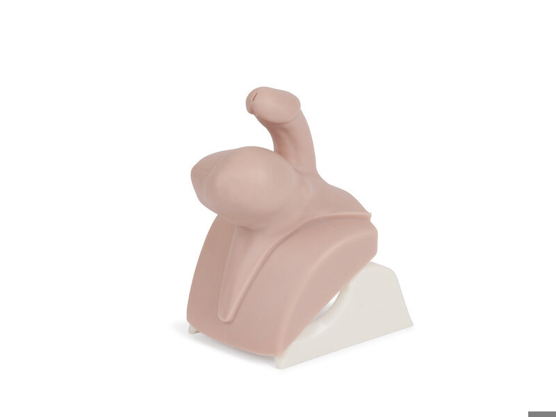 Mod 6-Orchitis/Epididymo Orchitis for CMPT Mk2