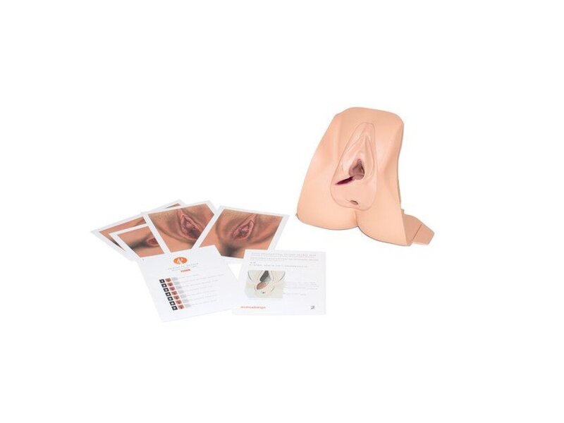 Mediolateral Repair LT Trainer Light