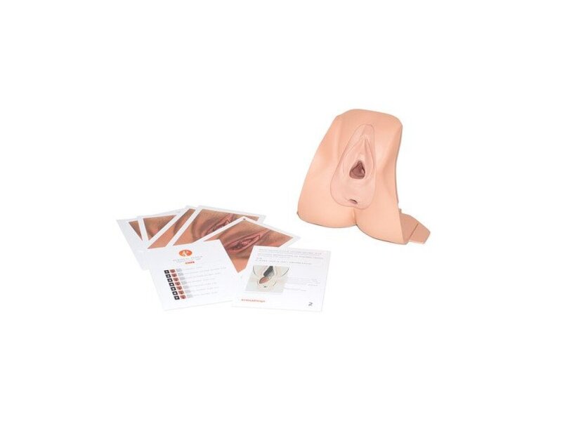 Perineal Repair Light Trainer