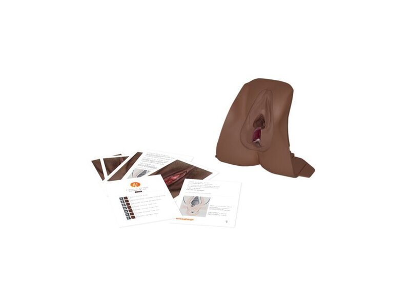 Anal Sphincter Repair DK Trainer Dark