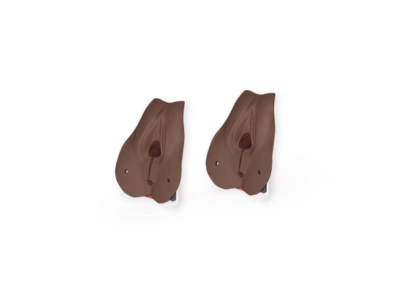 Anal Sphincter Repair DK Dark Block x2