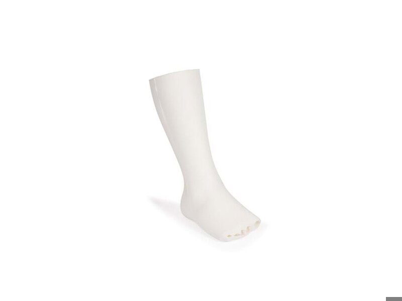 Foot and Ankle Musculature