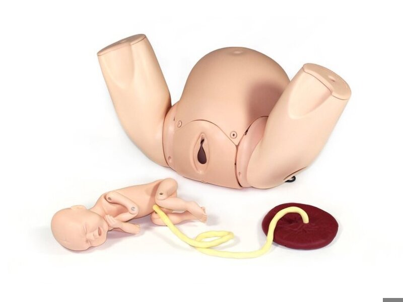 PROMPT Flex Birthing
Simulator - Standard