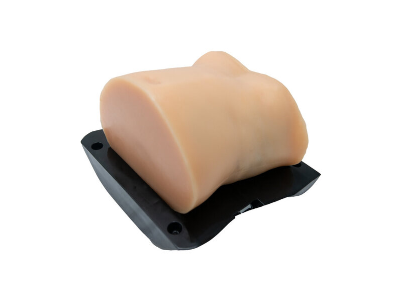Abdominal US model skin Skin colored