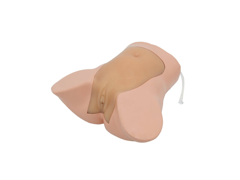 Amniocentesis Ultrasound Model (16-week twin pregnancy, Skin colored)