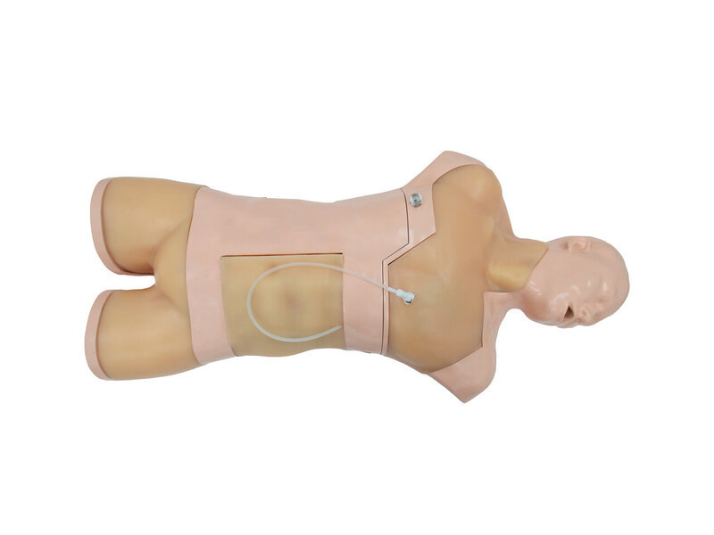 Anesthesia US simulator With skin and auto pump