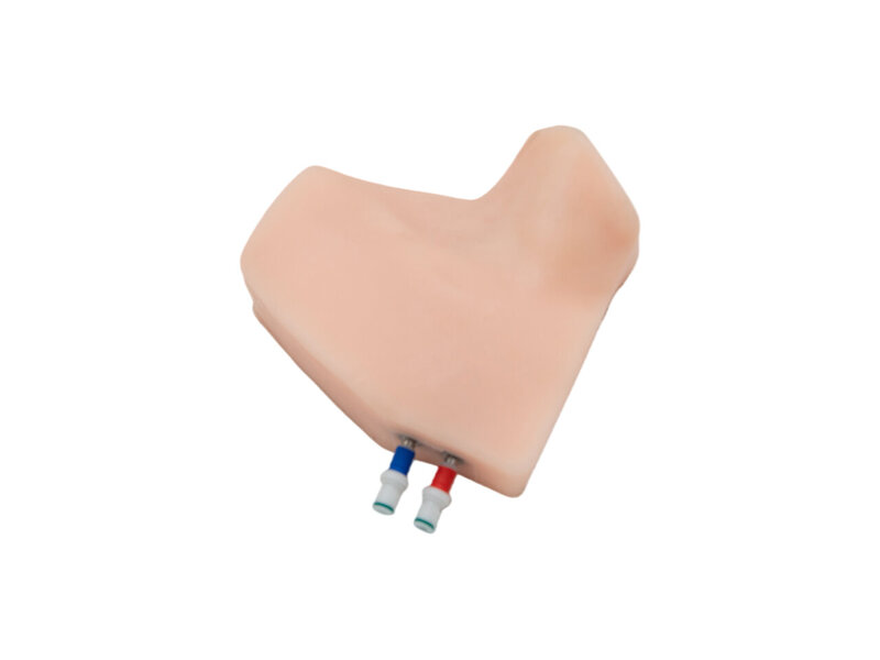 Replaceable Module - Brachial Plexus Block and CVC Ultrasound Model (Skin tone, Auto pump)