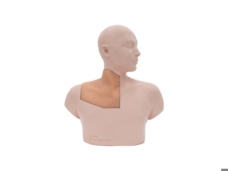Brachial Plexus Block and CVC Ultrasound Model (Skin colored, Hand pump)