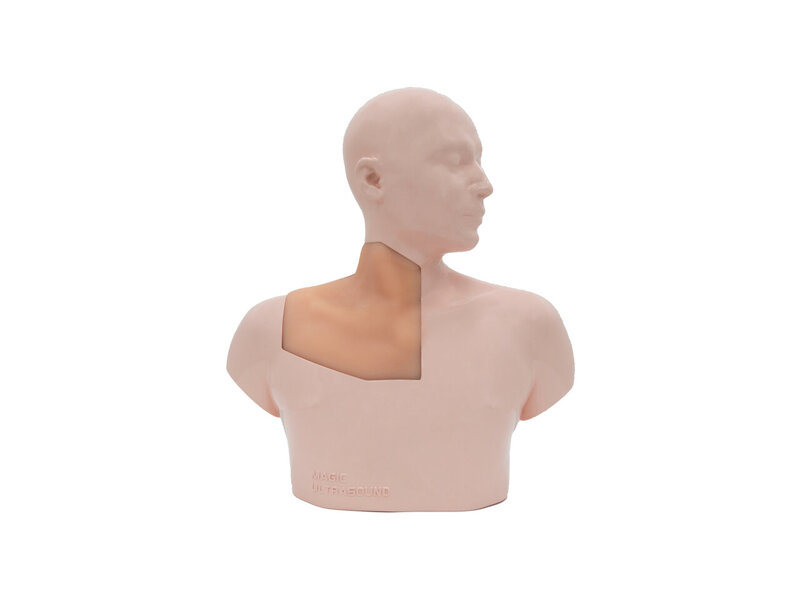 CVC Ultrasound Model (Skin colored, Auto pump)