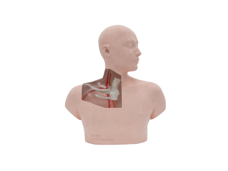 CVC Ultrasound Model (Transparent, Auto pump)