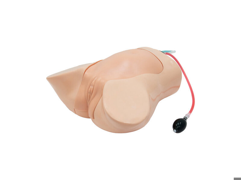 Fetal Blood Sampling (FBS) Ultrasound Model (20 weeks, Hand pump, Skin colored)