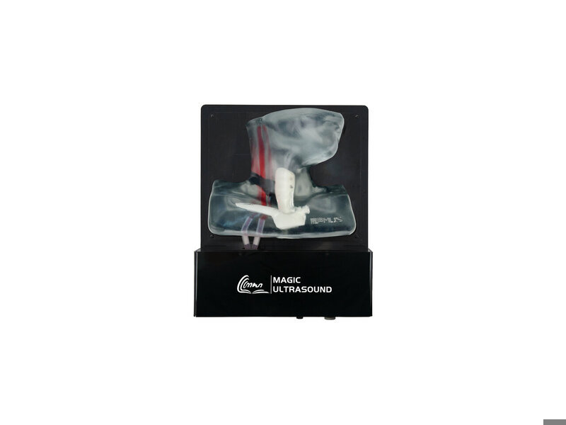 Internal Jugular Vein Puncture Ultrasound Model (Transparent, Auto pump)