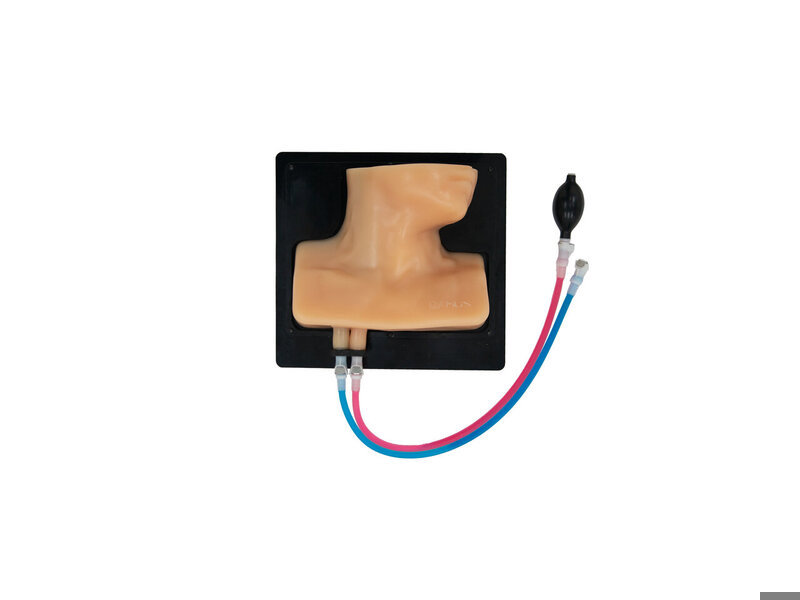 Internal Jugular Vein Puncture Ultrasound Model (Skin colored, Hand pump)