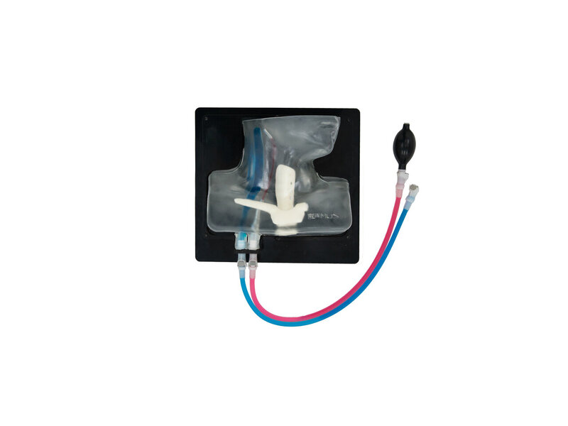 Internal Jugular Vein Puncture Ultrasound Model (Transparent, Hand pump)