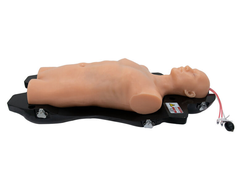 Integrated Ultrasound Diagnosis Simulator  (Skin colored)