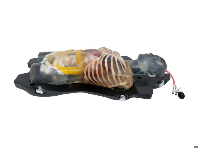 Integrated Ultrasound Diagnosis Simulator (Transparent)