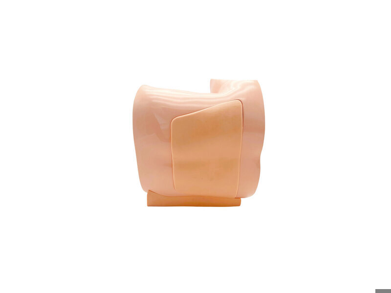 Lumbar Puncture Ultrasound Model (Skin colored)