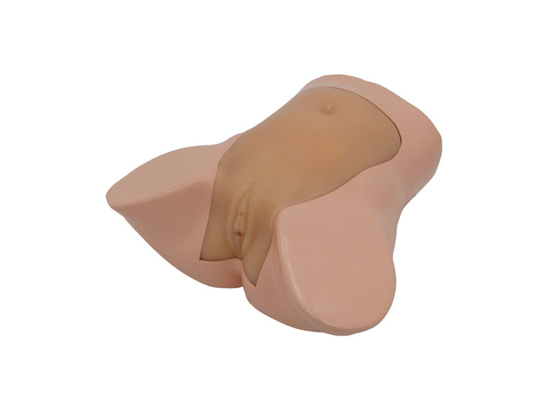 Sonohysterography And Sonosalpingography Ultrasound Model (Skin colored)