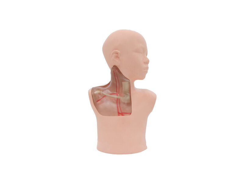 Pediatric CVC Ultrasound Model (Transparent, Auto pump)