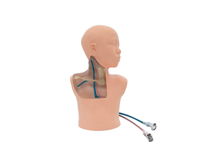 Pediatric CVC Ultrasound Model (Transparent, Hand pump)