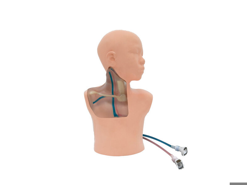 Pediatric CVC Ultrasound Model (Transparent, Hand pump)