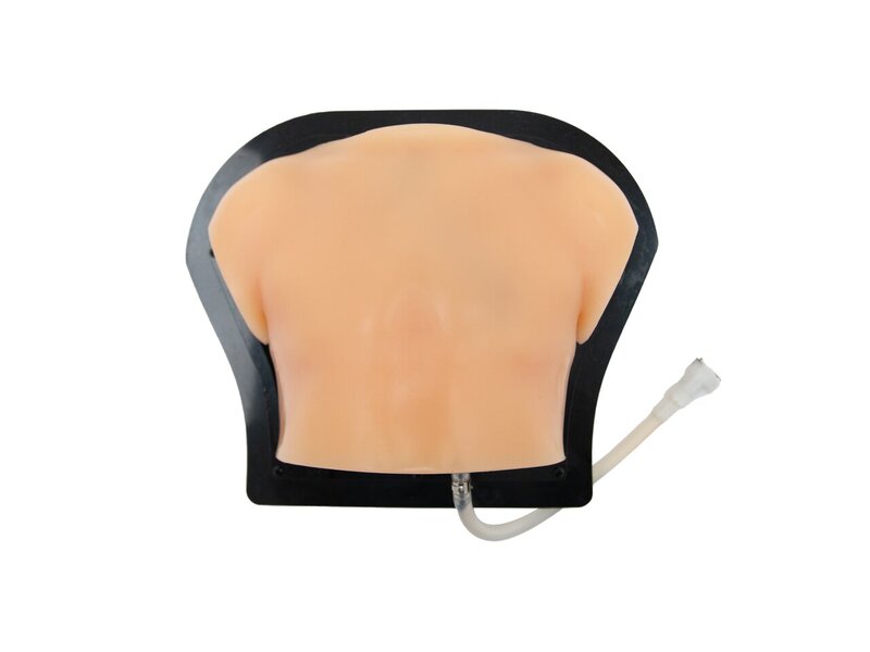 Pediatric Cardiac Examination Ultrasound Model (Skin Tone)