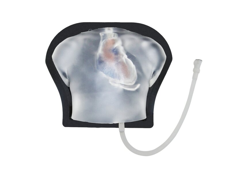 Pediatric Cardiac Examination Ultrasound Model (Transparent)