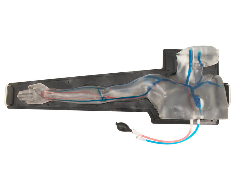 PICC Ultrasound Model  (Transparent, Hand pump)