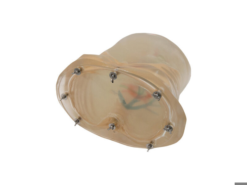PTC drainage US model Transparent & auto pump