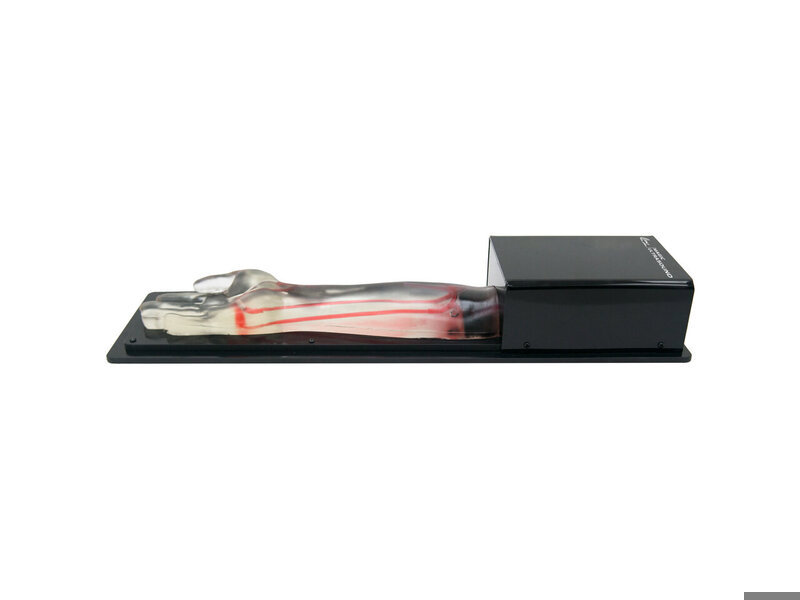 Radial Artery Puncture Ultrasound Model (Transparent, Auto pump)