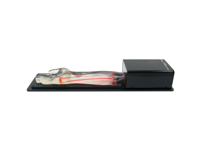 Radial Artery Puncture Ultrasound Model (Transparent, Auto pump)