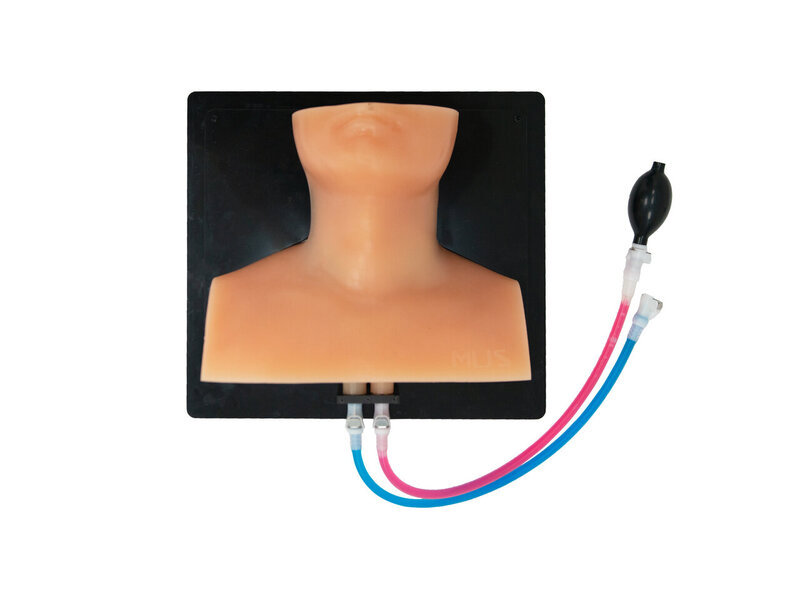 Thyroid Diagnosis Ultrasound Model (Skin colored, Hand pump)