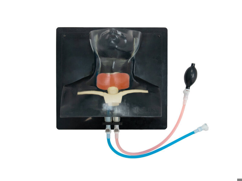 Thyroid Diag US Model Transparent